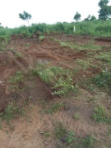 Residential Plot
