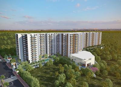 3 BHK Apartment