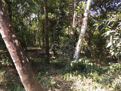 4356 Sq.ft Residential Plot for Sale in Guruvayoor, Guruvayoor