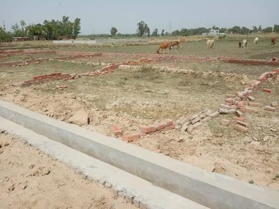 Residential Plot