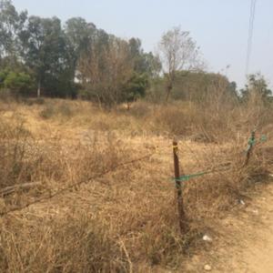Residential Plot