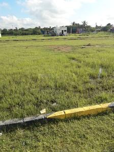 Gallery Cover Image of Sq.ft Residential Plot for buy in Tambaram for 1012500