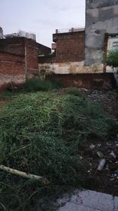 4700 Sq.ft Residential Plot for Sale in Roshan Pura, Gurgaon