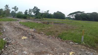 Gallery Cover Image of Sq.ft Residential Plot for buy in Joka for 120000