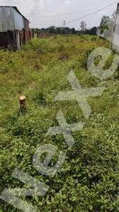 Gallery Cover Image of Sq.ft Residential Plot for buy in Lasudia Mori for 450000