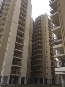 3 BHK Apartment