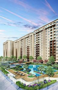 3 BHK Apartment
