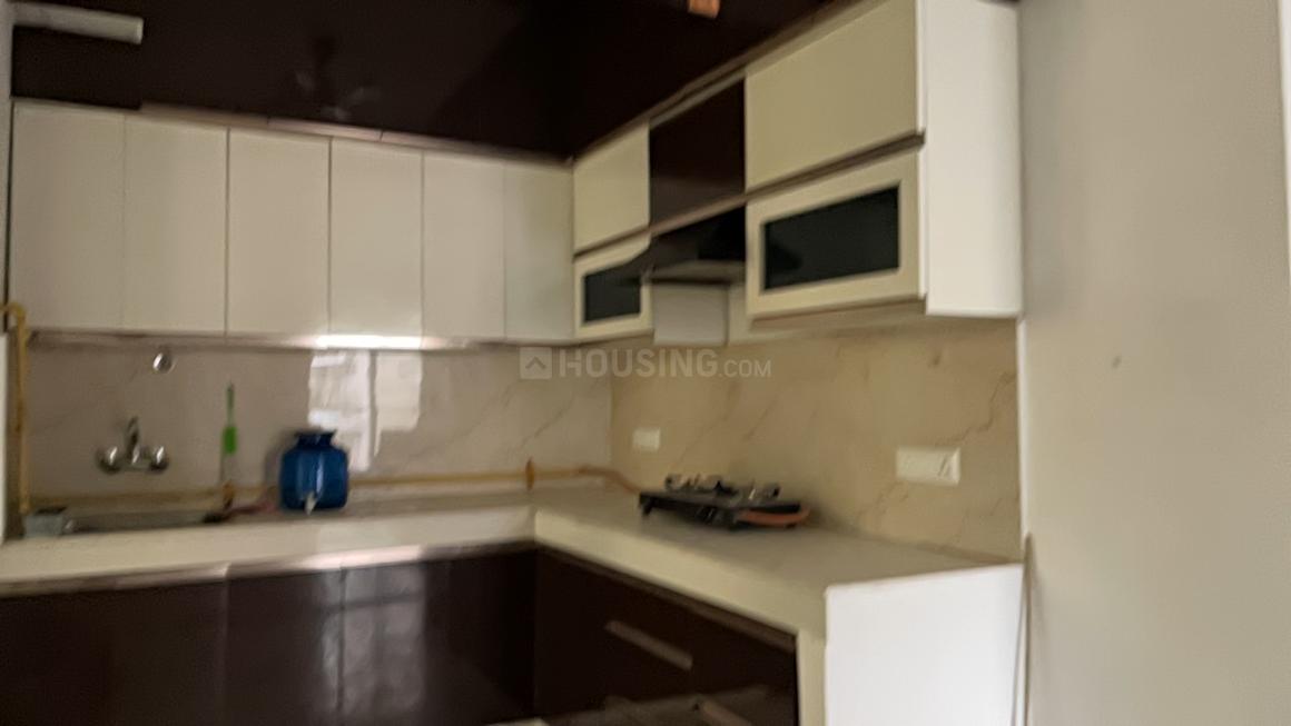 AIG Aigin Royal - Image 21