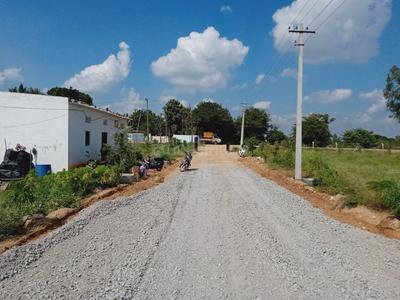 Residential Plot