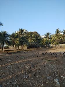 10000 Sq.ft Residential Plot for Sale in Andheri East, Mumbai