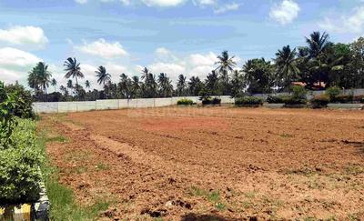 Residential Plot