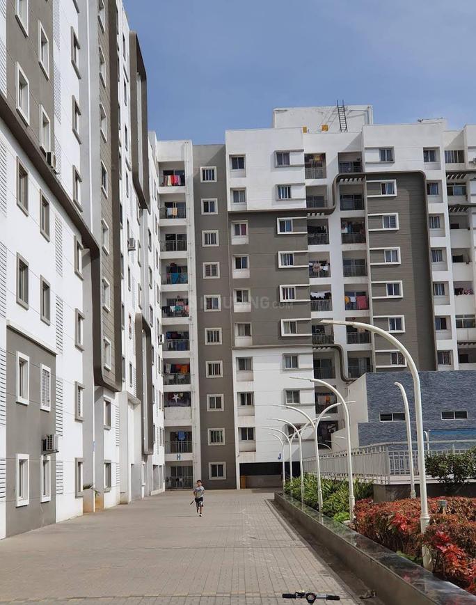 For Rent Puravankara Westend Rent Puravankara Purva Westend Fresco