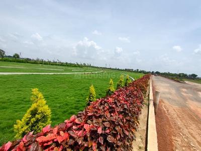 Residential Plot