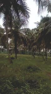98600 Sq.ft Residential Plot for Sale in Satyamangala, Hassan