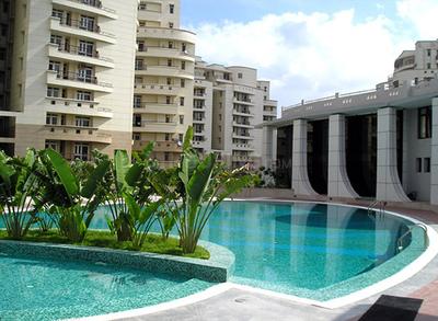 3 BHK Flat