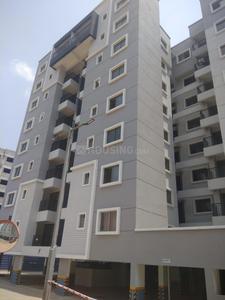 3 BHK Apartment