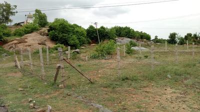 Gallery Cover Image of Sq.ft Residential Plot for buy in Anna Nagar for 660000