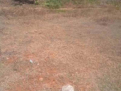 Residential Plot