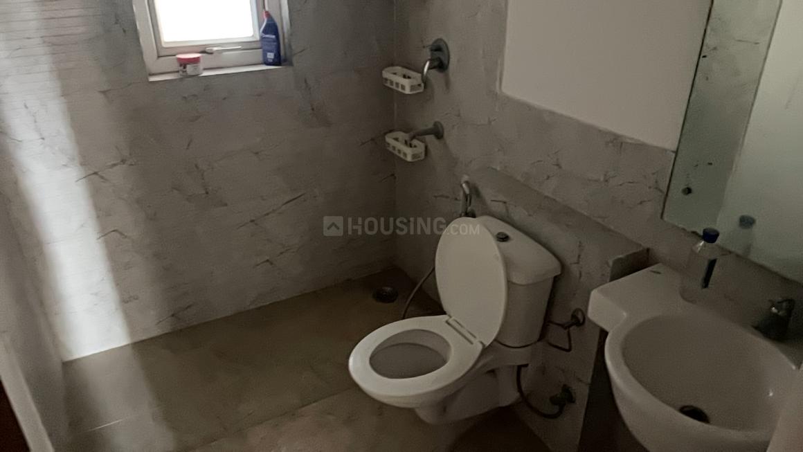 ATS Dolce - Image 17