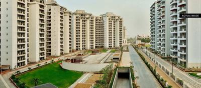 Gallery Cover Image of 1862 Sq.ft 3 BHK Apartment for buy in Sector 91 for 8700000