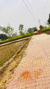 Residential Plot