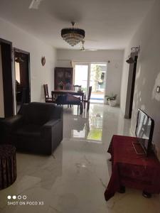 Gallery Cover Image of 1239 Sq.ft 3 BHK Apartment for rent in Ortus , Amrutahalli for 22000