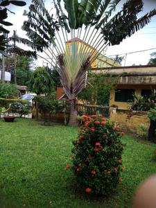 Gallery Cover Image of 3000 Sq.ft 6 BHK Villa for buy in Andul for 12000000