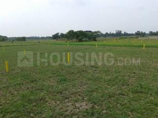 Gallery Cover Image of Sq.ft Residential Plot for buy in Rasapunja for 400000