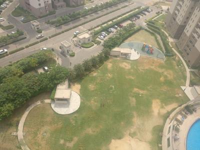 Gallery Cover Image of 350 Sq.ft 1 BHK Apartment for rent in Signature The Serenas, Bhondsi for 8000