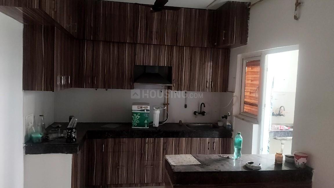 Ajnara Daffodil - Image 15