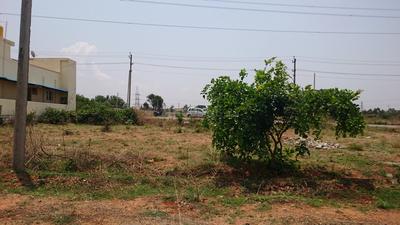 Residential Plot