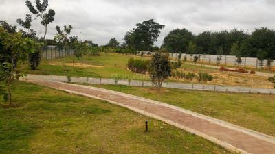 Residential Plot