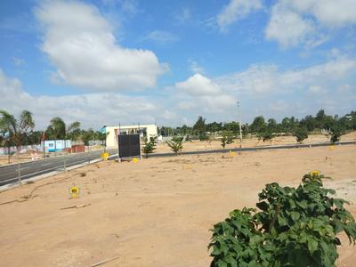 Gallery Cover Image of Sq.ft Residential Plot for buy in Chikkagubbi Village for 1440000