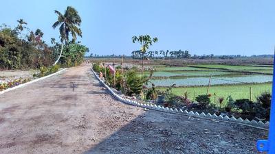 Gallery Cover Image of Sq.ft Residential Plot for buy in Shyamnagar for 1000000