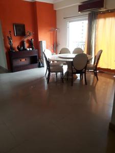 4 BHK Apartment