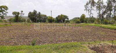 Gallery Cover Image of Sq.ft Residential Plot for buy in Bhanpur for 10000000