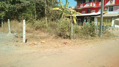 Gallery Cover Image of Sq.ft Residential Plot for buy in Povorim for 7500000
