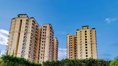 1 BHK Flat