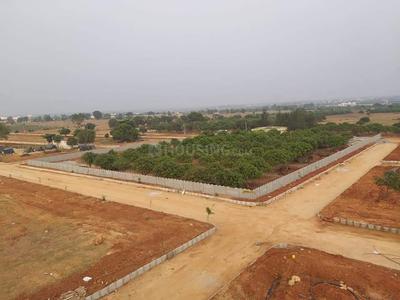 Residential Plot