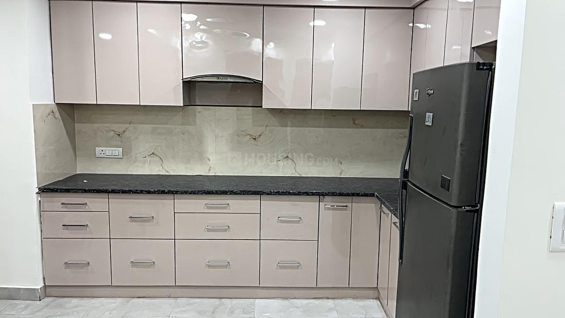 Town White Orchid - Image 8