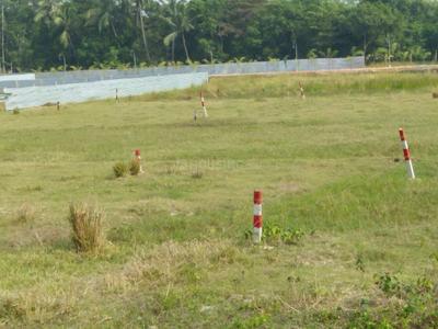 Gallery Cover Image of Sq.ft Residential Plot for buy in Rasapunja for 260000