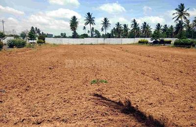 Residential Plot