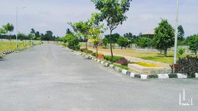 Residential Plot