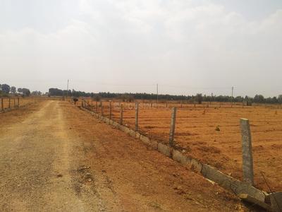 Residential Plot
