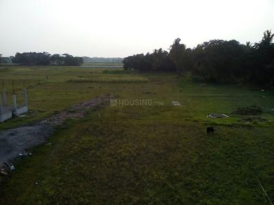 Gallery Cover Image of Sq.ft Residential Plot for buy in Joka for 135000