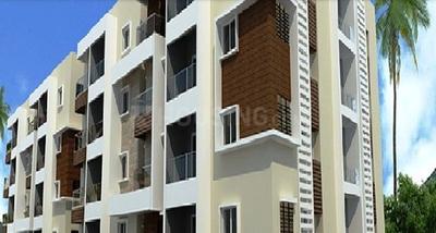 3 BHK Apartment