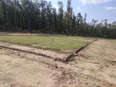 Residential Plot