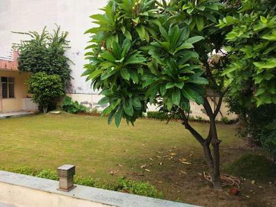 Gallery Cover Image of 300 Sq.ft Residential Plot for buy in Sector 47 for 28500000