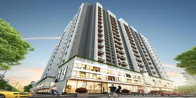 3 BHK Apartment