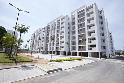 3 BHK Apartment